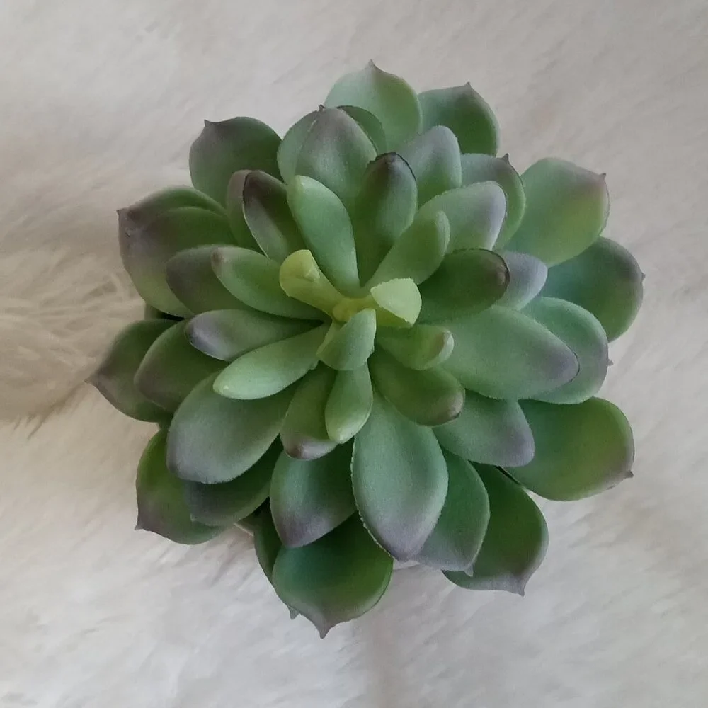 Faux Arrangements Succulent - NEW!!!